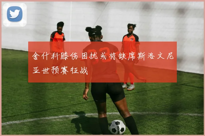 舍什科膝伤困扰或将缺席斯洛文尼亚世预赛征战